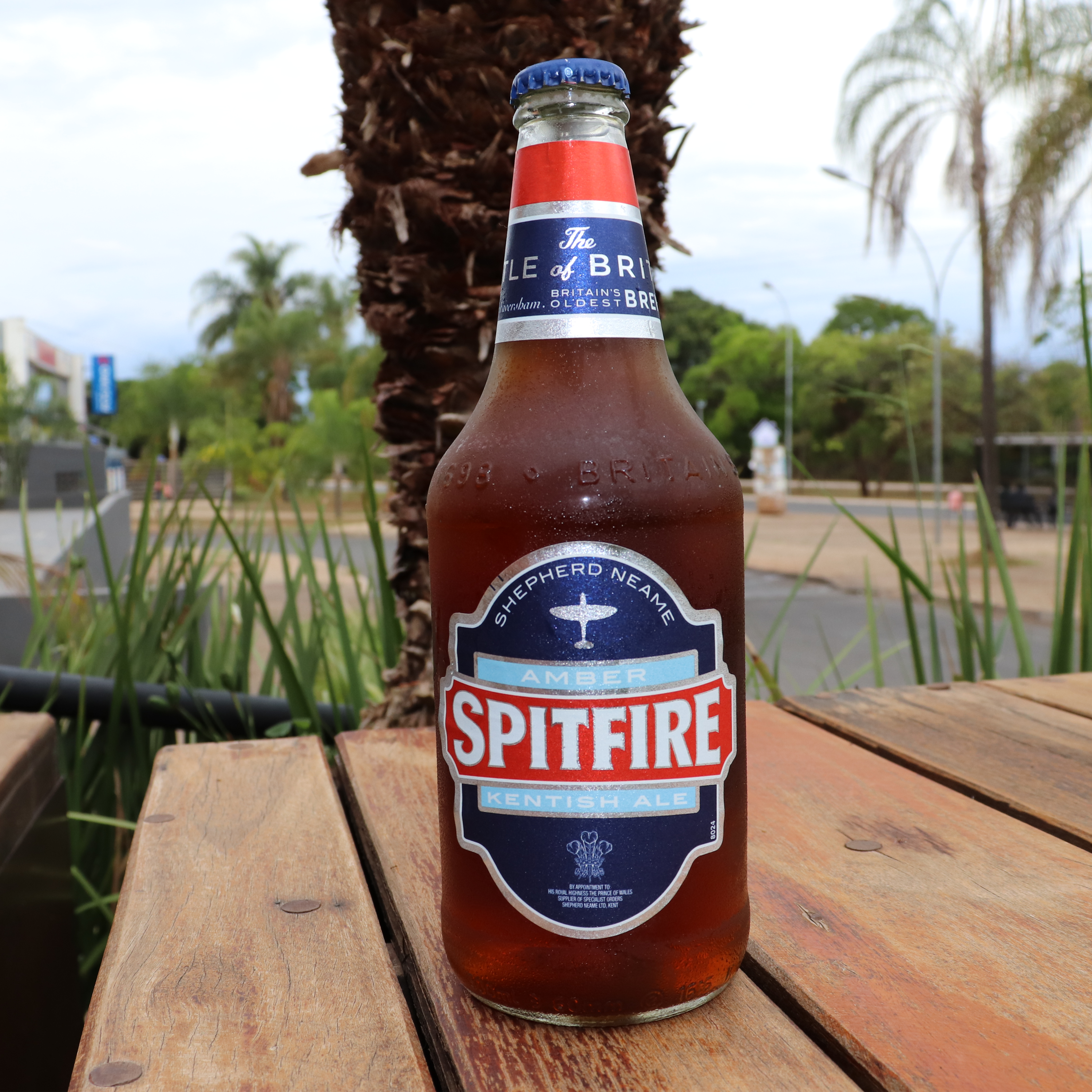 SPITFIRE
